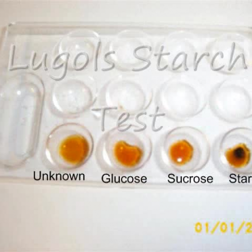 Nutrient Identification Lab Results