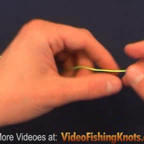 Twisted Dropper Loop