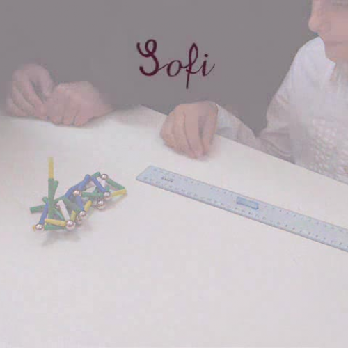 La forza dei magneti