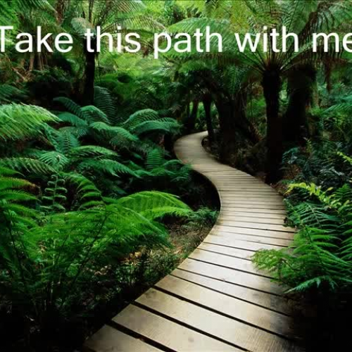 Lifes Journey - an example of haiku