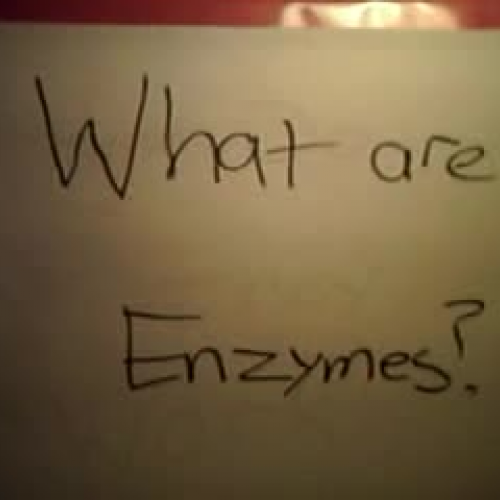 Enzymes Part 1