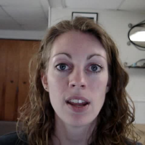 Linear Programming Project Introduction