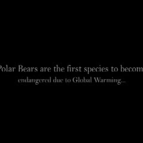 Polar Bear Extinction