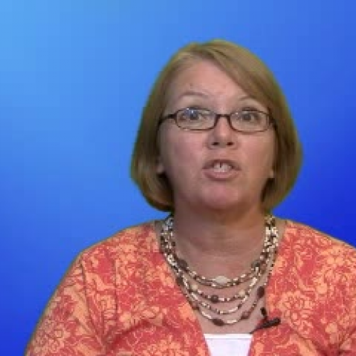 Using Direct Instruction signal techniques in