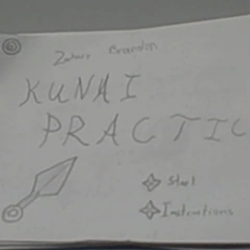 Team Ninjas Kunai Practice Game Concept