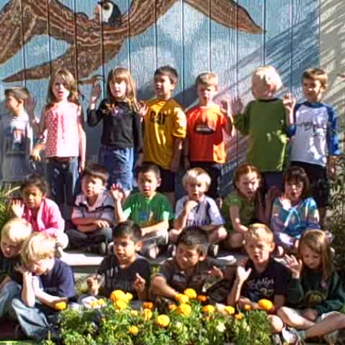 The Lifelong Guideline Pledge 2