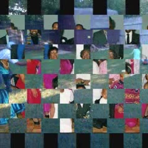 Visual Introductions P Hayden