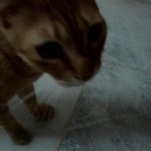 PLEASE SET TEST VIDEOS TO PRIVATE