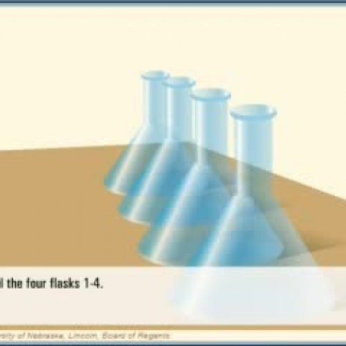 Spontaneous Generation