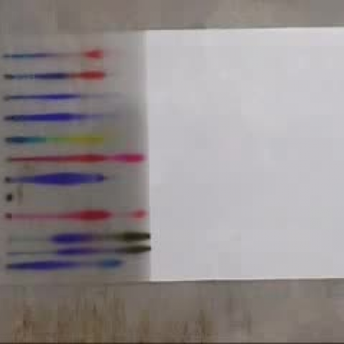 Thin Layer Chromatography of Felt Tipped Pens