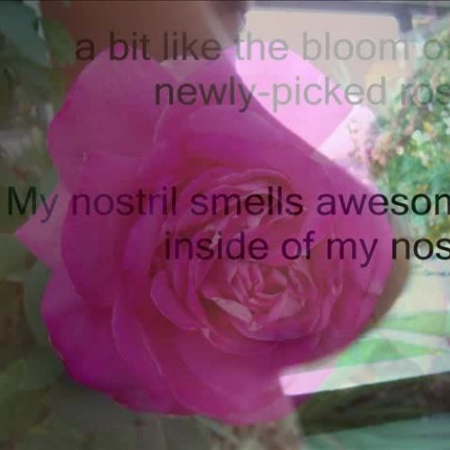 My Nostril Smells Awesome