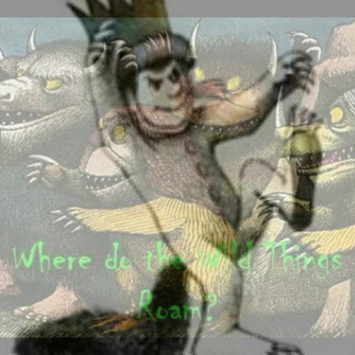 Where the Wild Things Are