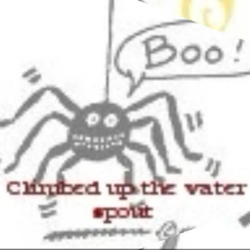The Eencey Weensy Spider