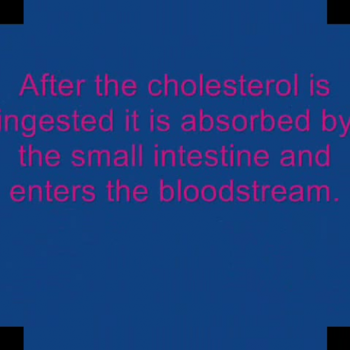 Cholesterol