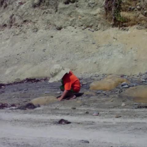 litle boy throwing rocks