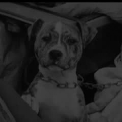 PSA Jessica and Rochelle