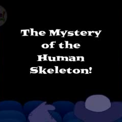 The Mystery of the Human Skeleton