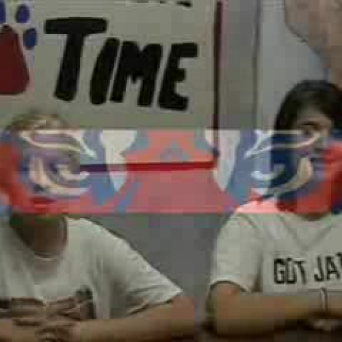 Exploratory Tiger Time