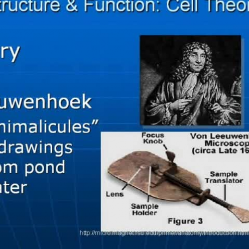Cell Structure and Function Part One
