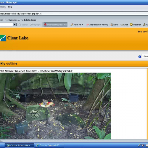 Creating Quizzes in Moodle