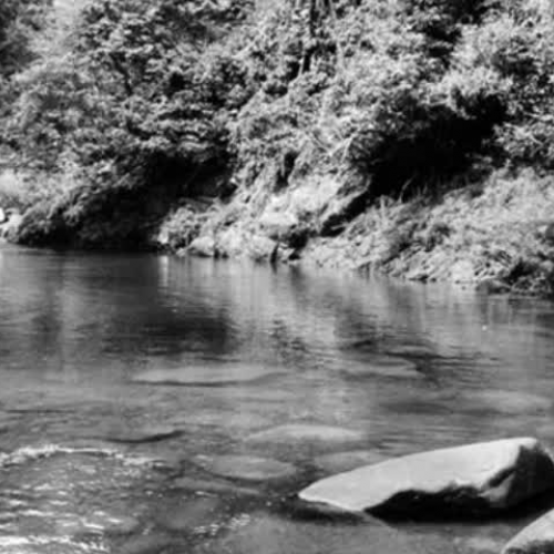 Digital Vocabulary Story