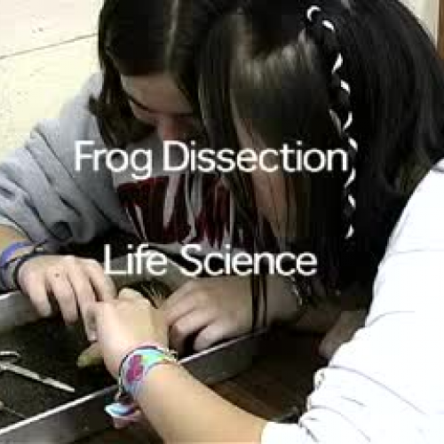 Frog Dissection and Technology