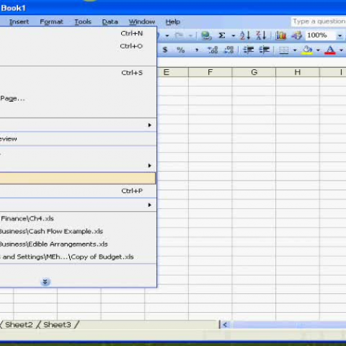 Basic Excel Follow Up