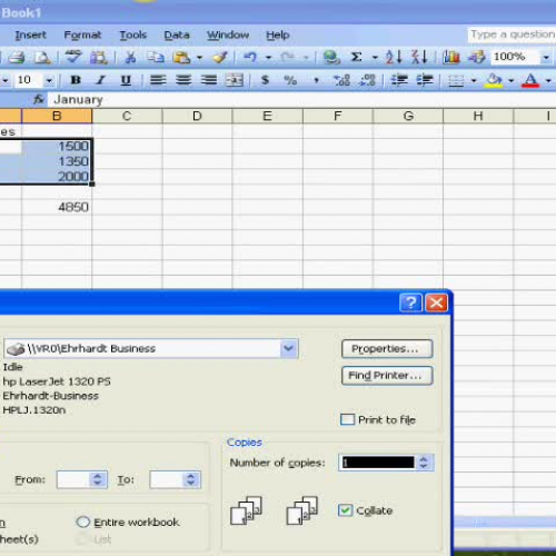 Basic Excel Follow Up