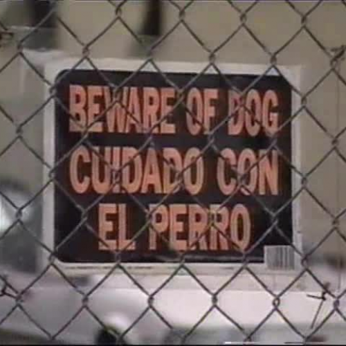 Dancing On The Rooftop!