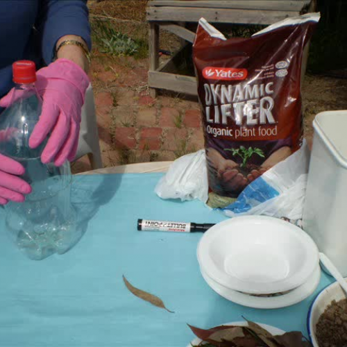 How to Make Compost in a Bottle