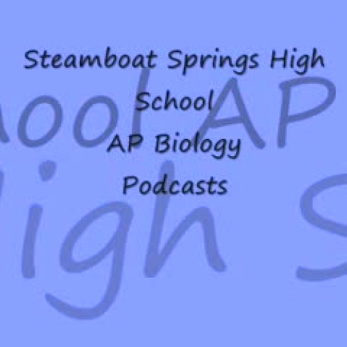 AP Lab 2 Episode 1 Protein Synthesis