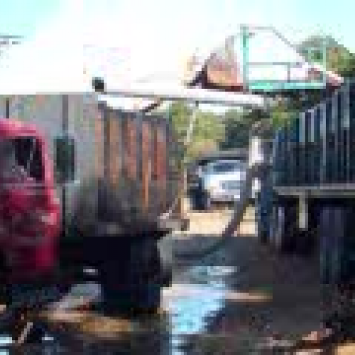 Bikes Bogs Berries and Sand Sculptures...at t