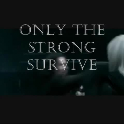 english assignment video