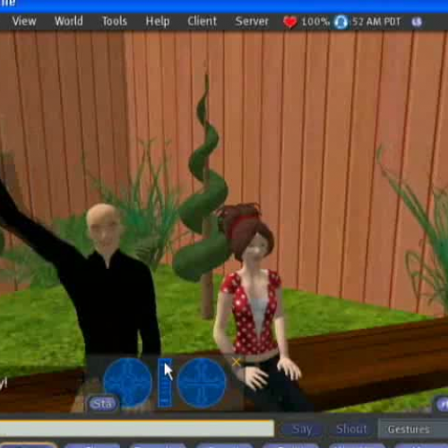 Controlling Your Environment in Second Life