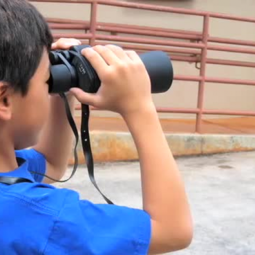 Community Connections