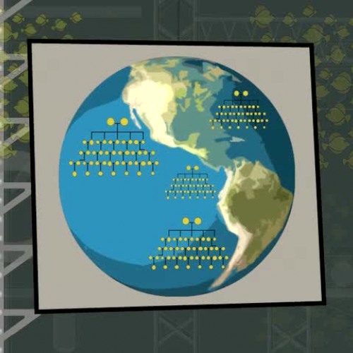 Cracking the Code Genetics Demystified