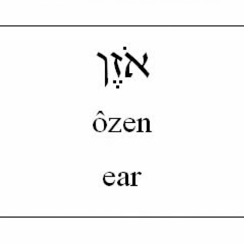 Learn Hebrew - Human Body Vocabulary (English