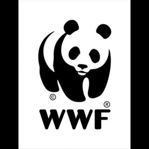 wwf-6th pd.