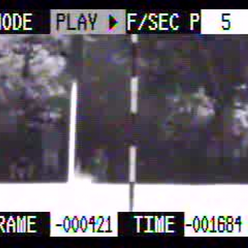 Michael-Belyn-Spencer