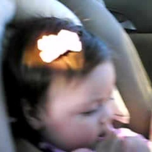 Bella Comes home from Sophies