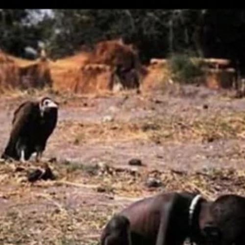 feed the children in africa