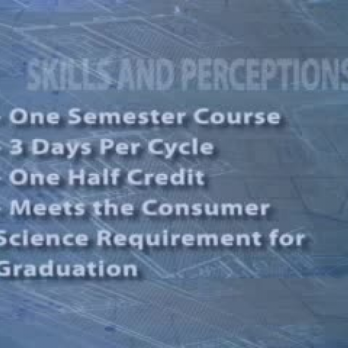 Delaney - Skills and Perceptions