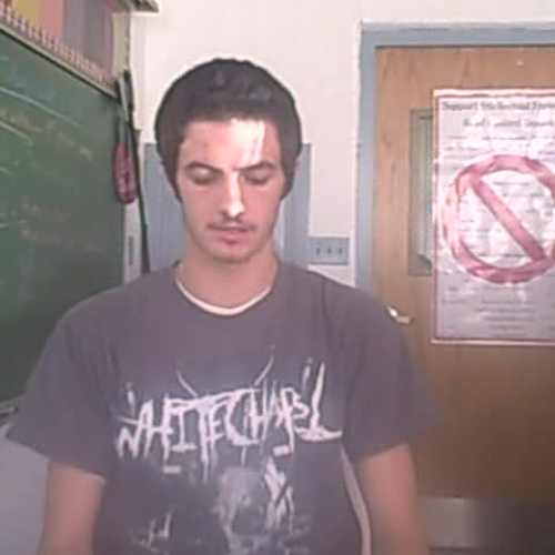 Narrative Essay Ronnie Abbott