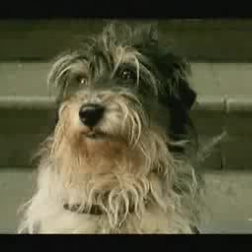 RSPCA Television Ad 2