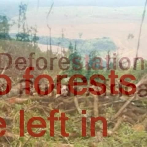 deforestation in africa