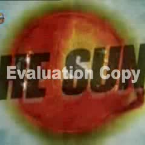 MTV Switch Space Umbrella