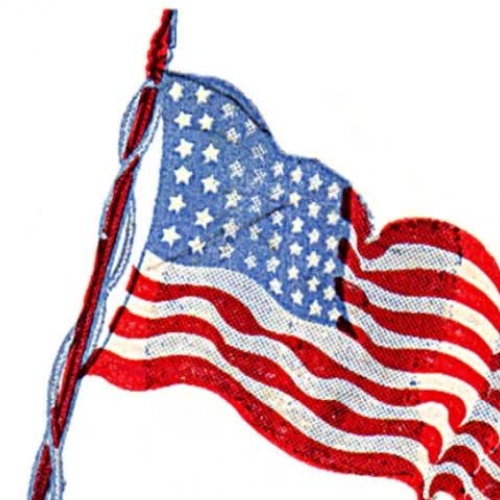 veterans day project