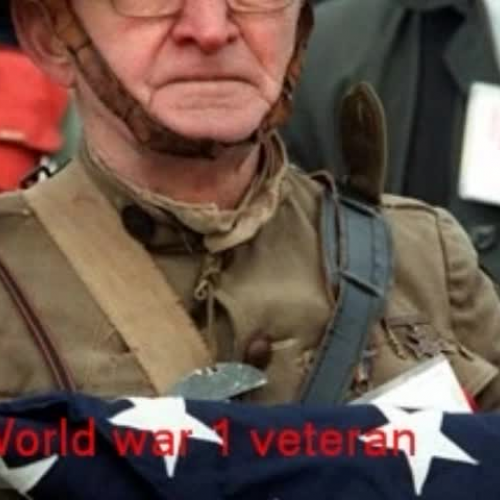 Remembering Veterans day