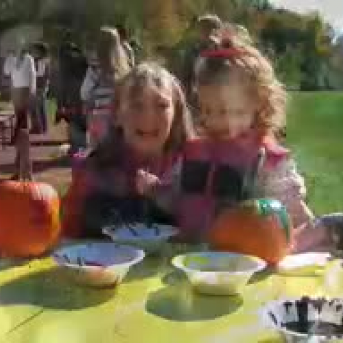 Lower Gwynedd Harvest Festival