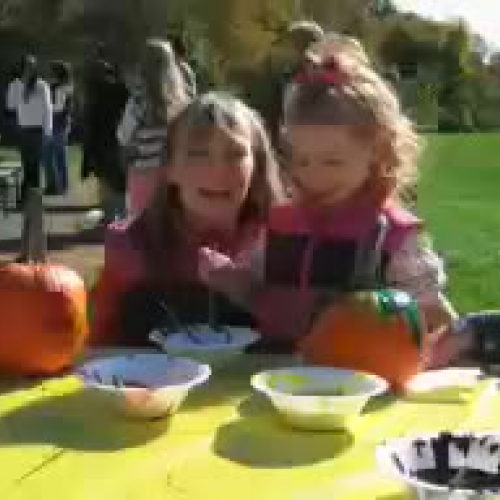 Lower Gwynedd Harvest Festival October